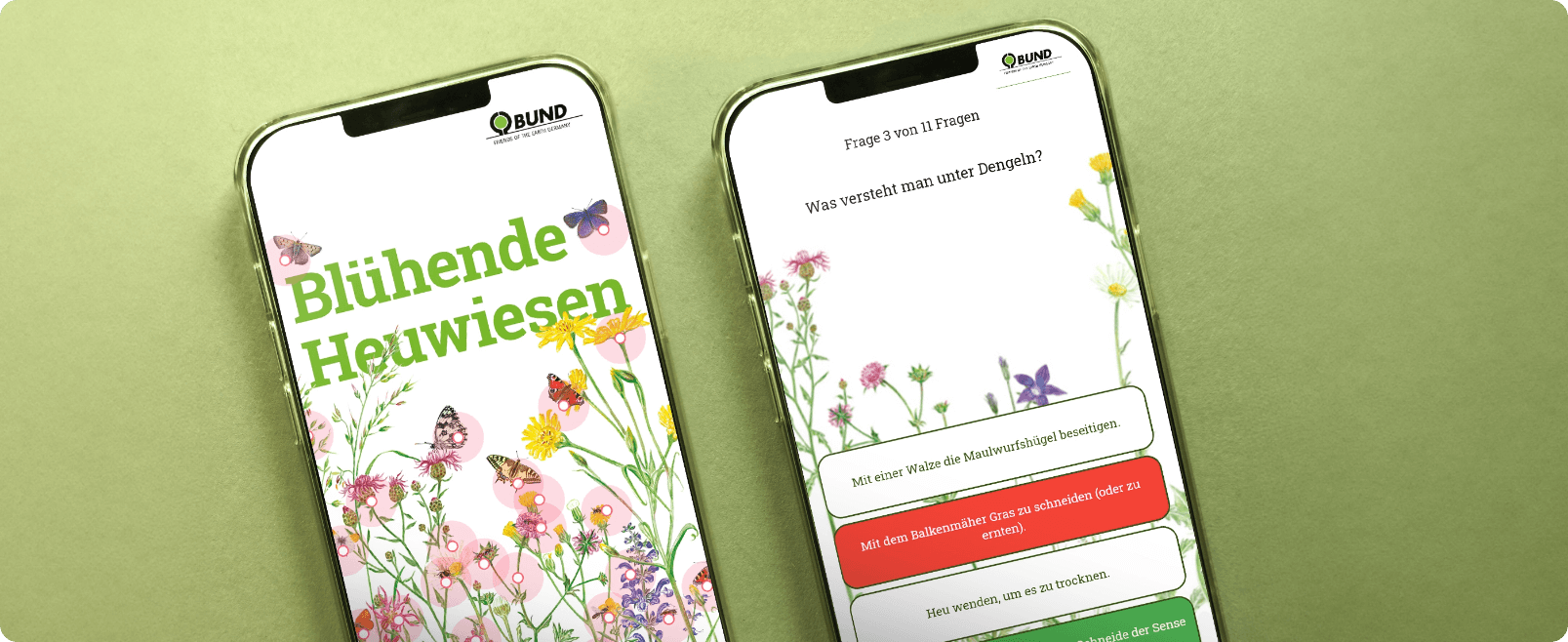 BUND: Beispiele zu den zwei App-Spielen zum Thema Magerwiesen 