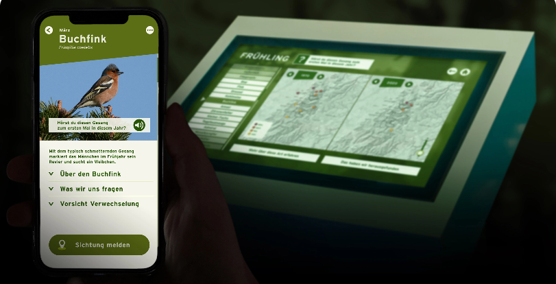 Citizen Science App PhänoWatch, Nationalpark Schwarzwald