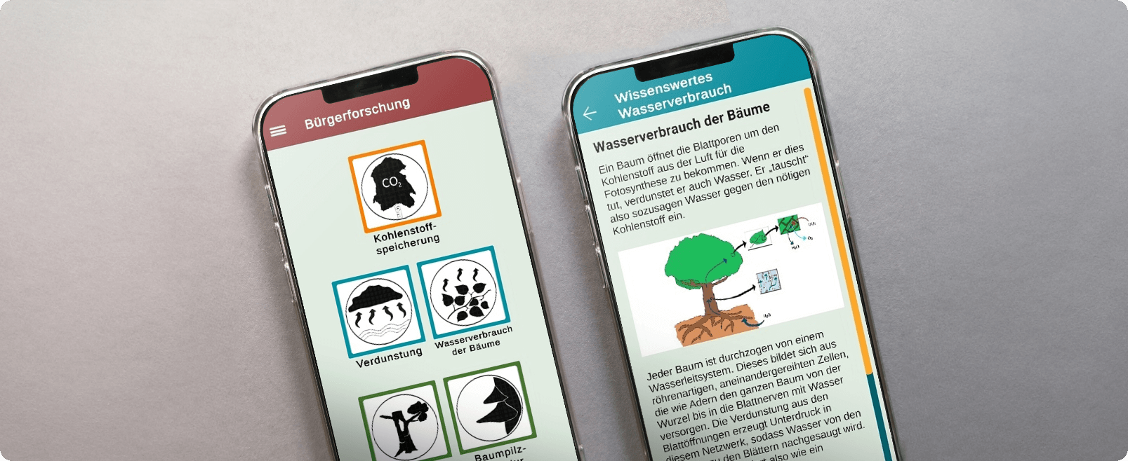 Zwei Beispielseiten der Citizen-Science-App Planbirke+C